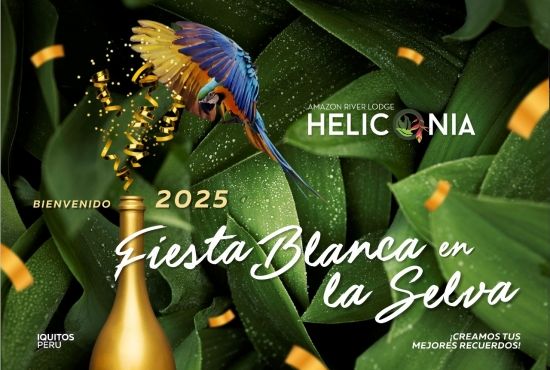 AÑO NUEVO 2025